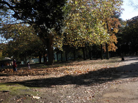e0127622_10245417.jpg