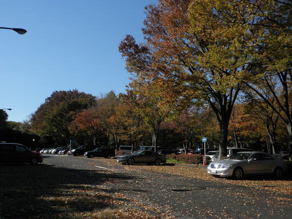 e0127622_10275662.jpg