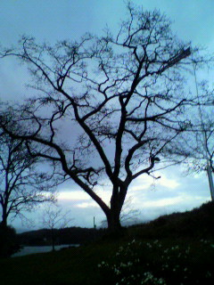 f0036223_18303995.jpg