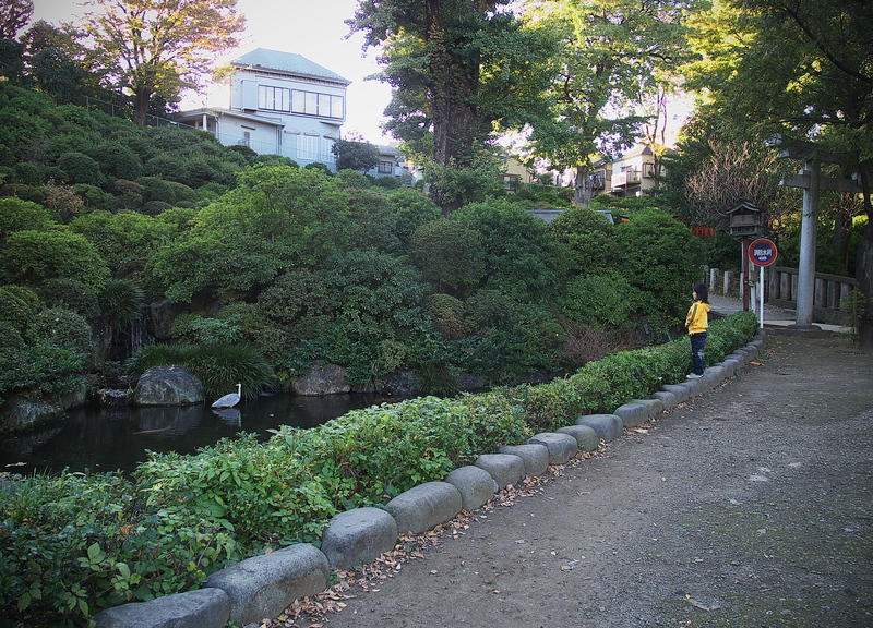 a0253730_2392467.jpg