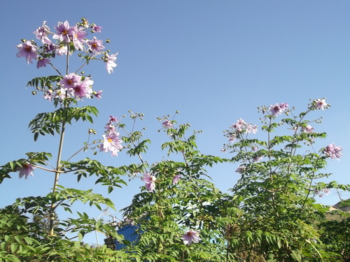 b0137932_224179.jpg