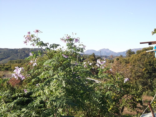 b0137932_224335.jpg