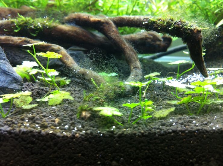 c0250835_1565441.jpg
