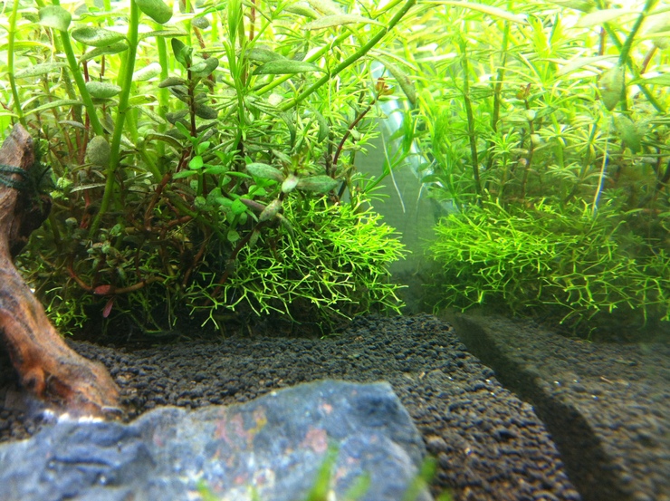 c0250835_1636338.jpg