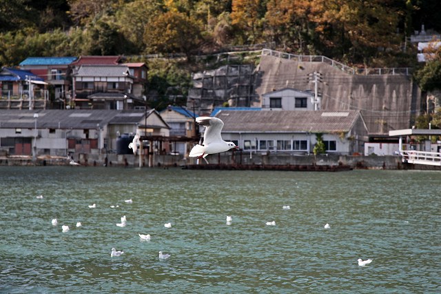 a0242438_19283423.jpg