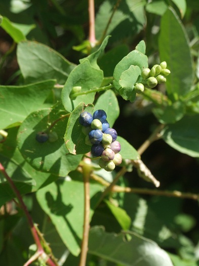 b0089338_0143627.jpg