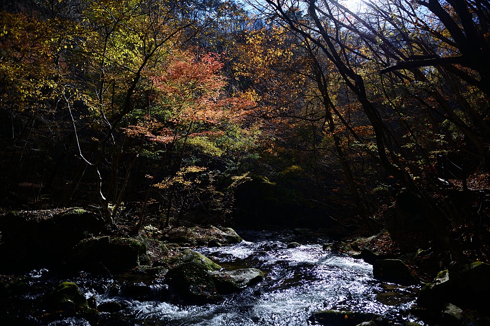 c0221838_19551912.jpg