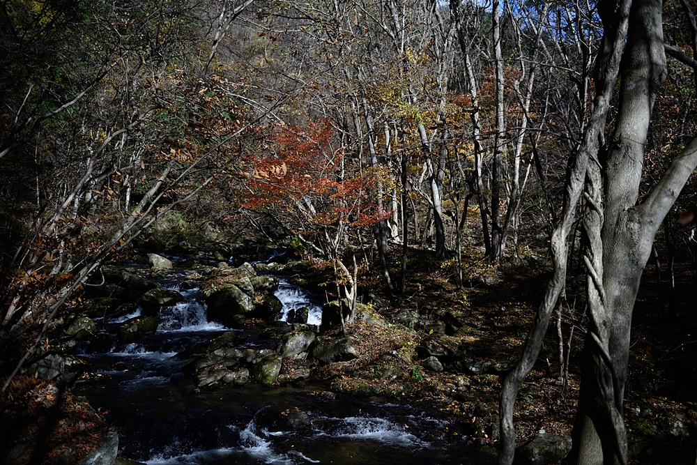 c0221838_1955435.jpg