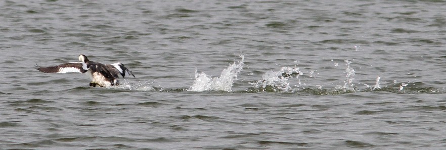 c0172139_2341259.jpg