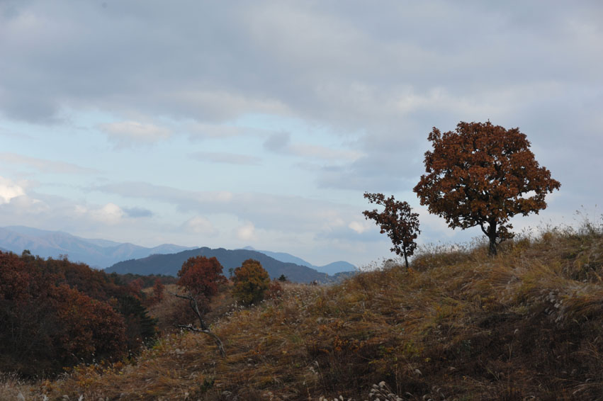 b0075541_13254464.jpg