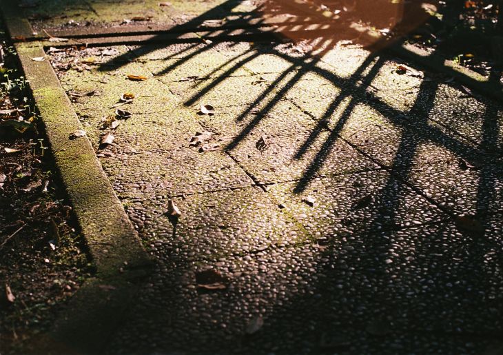 b0170947_8165872.jpg