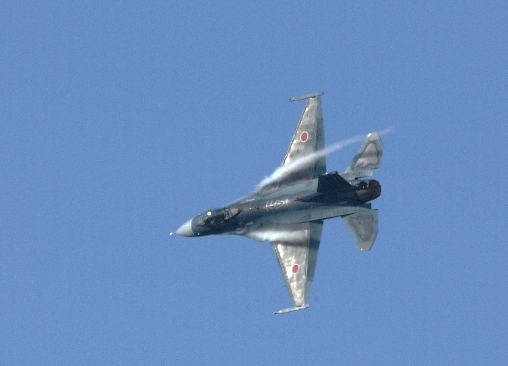 b0029350_2010088.jpg