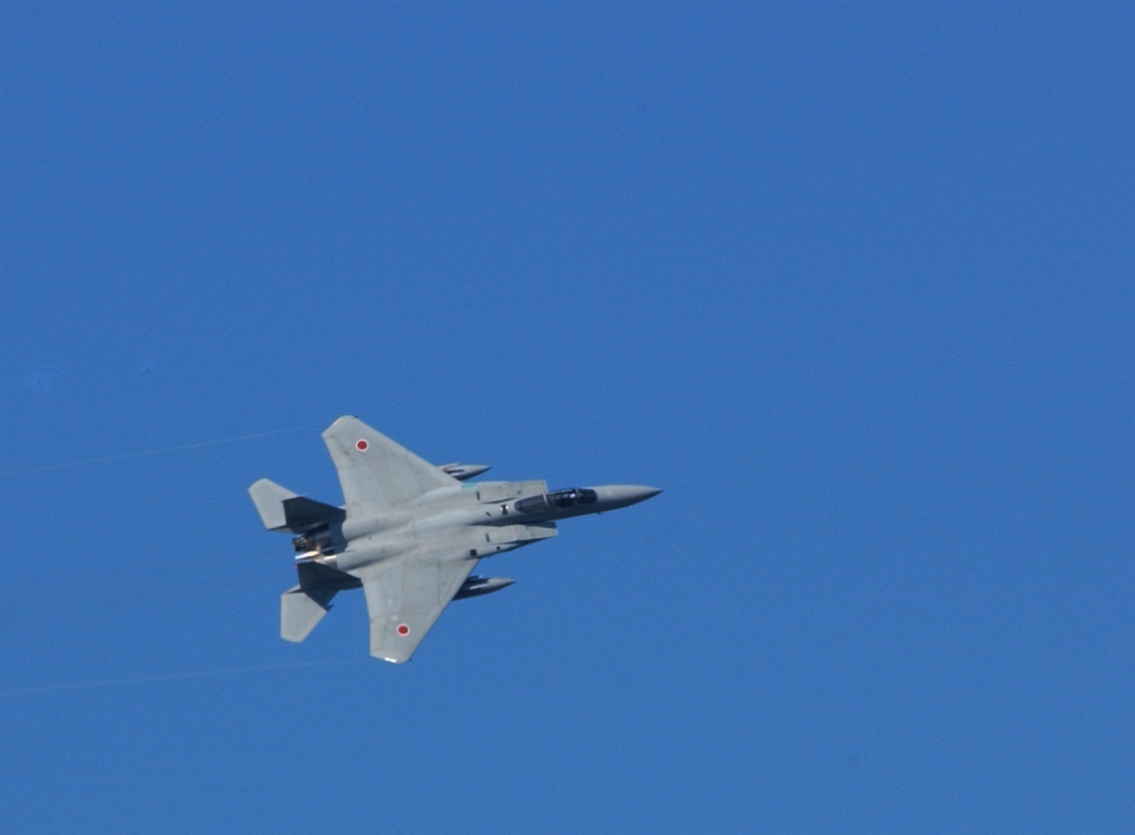 b0029350_20141333.jpg
