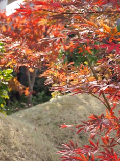 b0246758_13342280.jpg