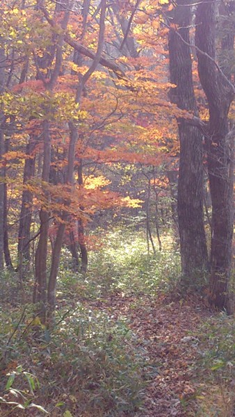 e0239458_1940356.jpg
