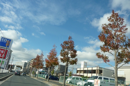 d0168567_19515491.jpg