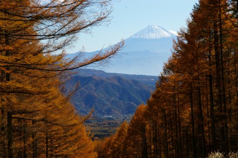 e0045768_22113831.jpg