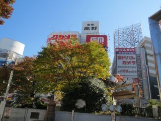 d0168471_194931.jpg