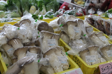 f0054677_7581259.jpg