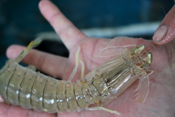 f0054677_8050100.jpg