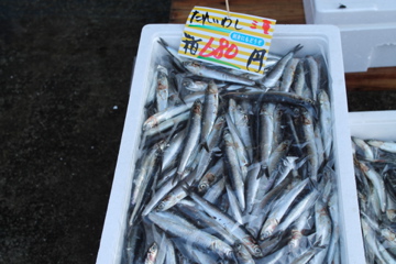 f0054677_825411.jpg