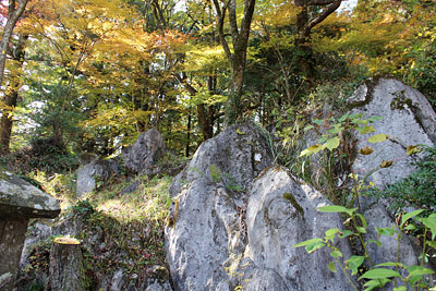 c0152779_2183350.jpg