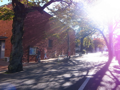 c0055882_2137154.jpg