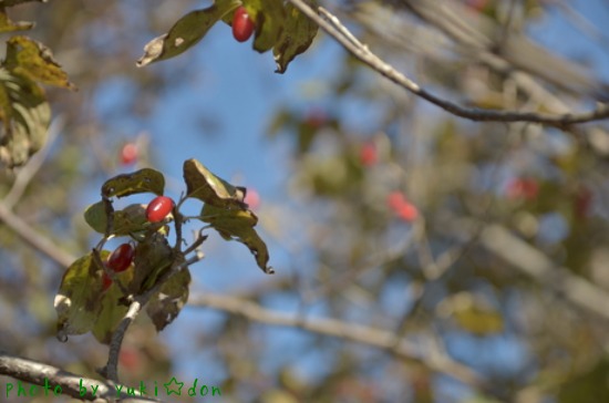 a0252287_221061.jpg
