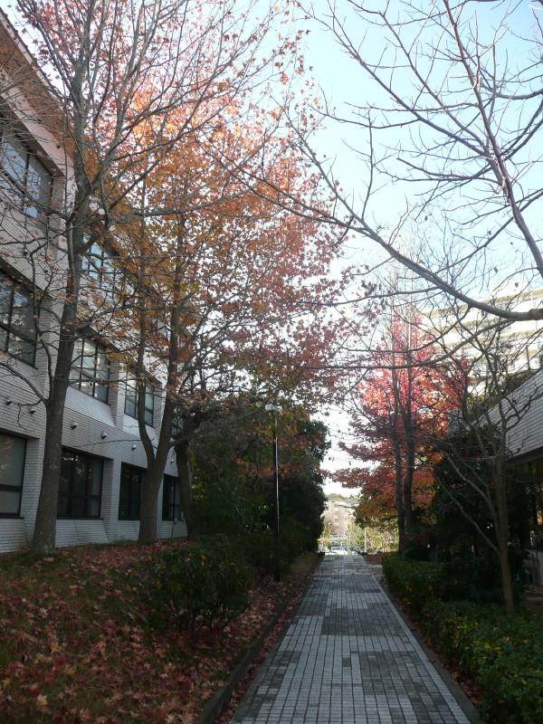 b0118987_5151532.jpg