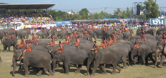 c0253488_1134230.jpg