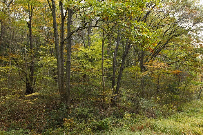 b0255992_16402325.jpg