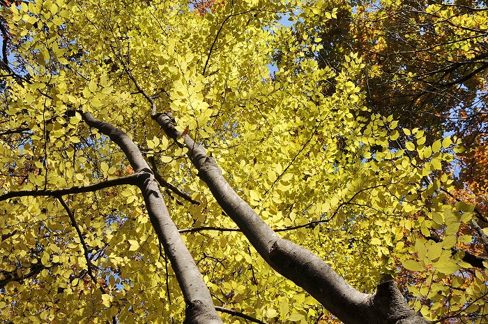 b0255992_1734336.jpg