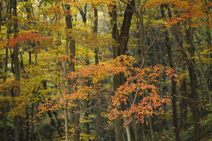 b0255992_17621100.jpg