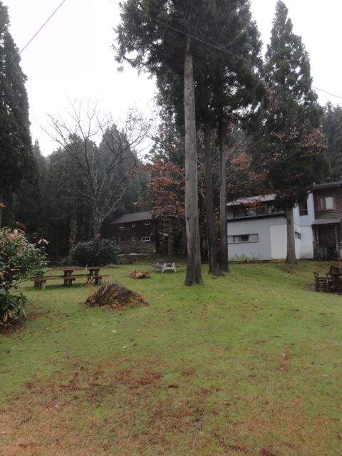 a0061599_7401119.jpg