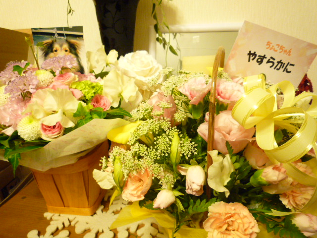 c0220700_20104535.jpg