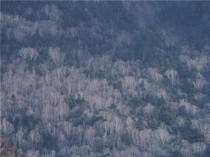 f0224100_2311477.jpg