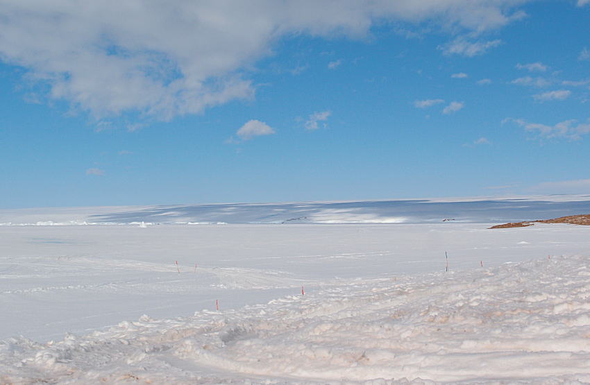 c0193901_52246.jpg