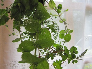 c0152002_9172195.jpg