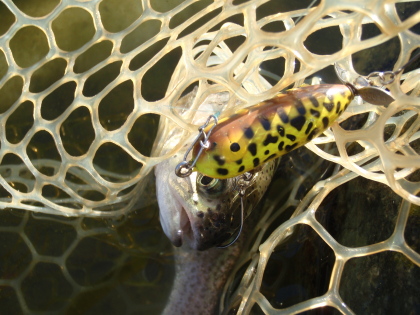 c0023804_22345364.jpg
