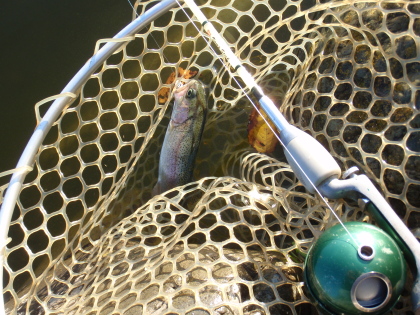 c0023804_2241121.jpg