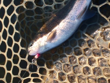 c0023804_2242737.jpg