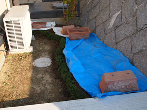 a0139105_23383871.jpg