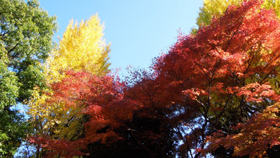 c0051105_042384.jpg