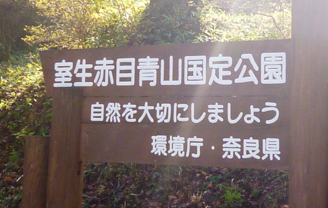 e0146907_2247811.jpg
