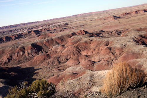 c0148812_8161666.jpg