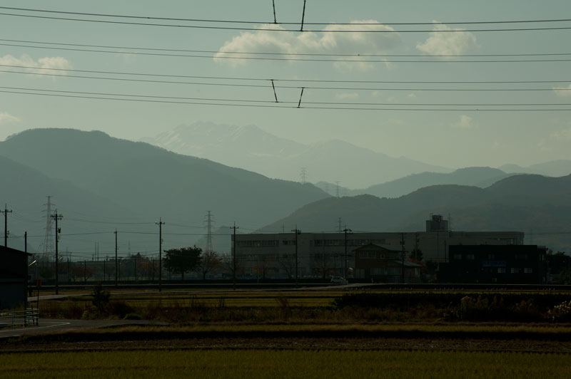 a0278914_1713494.jpg
