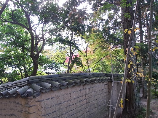 c0192215_9354667.jpg