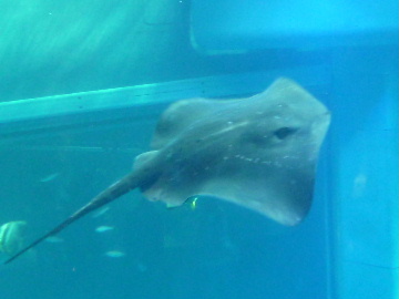 a0157619_22164717.jpg