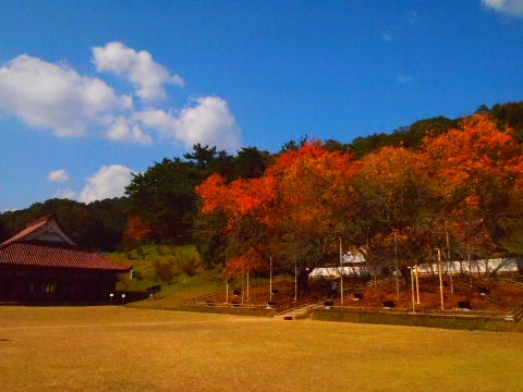 a0157619_22411488.jpg