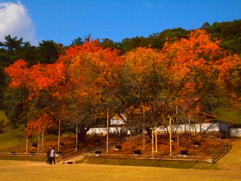 a0157619_22412269.jpg